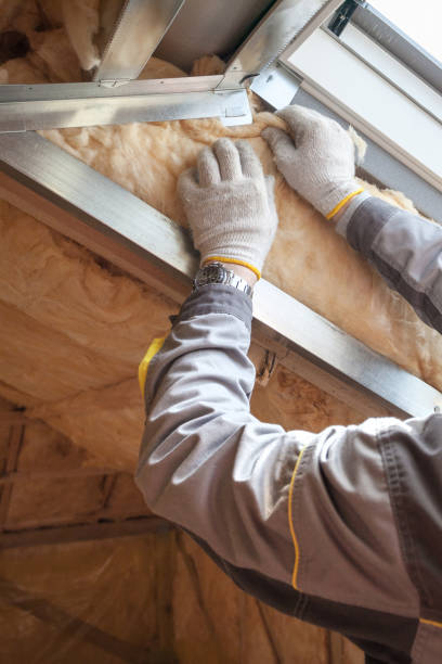 Best Blown-in Insulation in Double Springs, AL